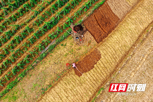 DJI_0437.jpg