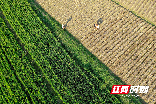 DJI_0532.jpg