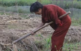 “钱不还，我心不安”衡阳独臂老人替亡子还债，获评全国“诚信之星”