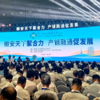 辛小湘丨长沙这场国家级粮会，藏着怎样的破局密码？