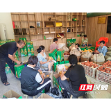 安化大安村:金秋梨遇天气减产 多方聚力稳住小水果振兴路