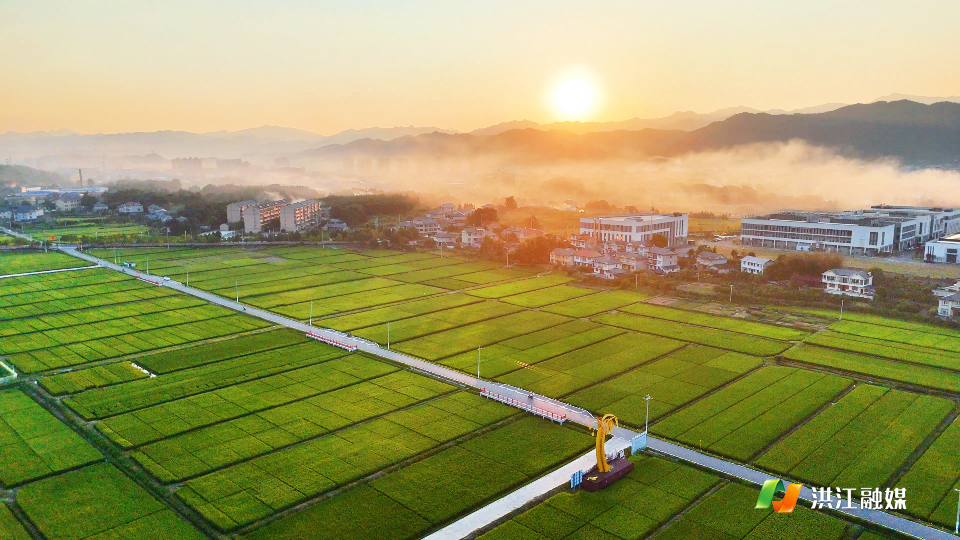 落日晚霞漫染，洪江市千亩杂交水稻示范基地绘就秋日画卷