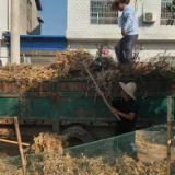 临湘市江南镇:织密“四张网” 守牢“禁烧关”