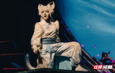 文华奖剧目载誉来湘！歌舞剧《猫神在故宫》将登陆湖南大剧院