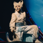 文华奖剧目载誉来湘!歌舞剧《猫神在故宫》将登陆湖南大剧院