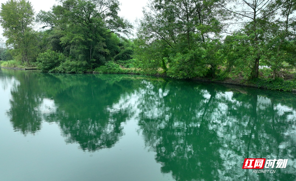 DJI_0780.JPG