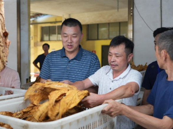 江永：李群辉调研指导全县烤烟收购工作