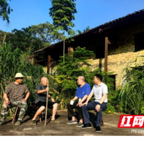 拆旧除险筑屏障 耒阳市南阳镇“拆四旧”专项行动夯实基层治理根基