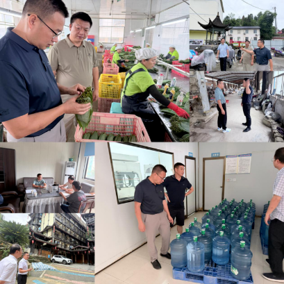 靠前监督防风险 靶向施策抓整改——张家界市融资担保集团纪委深入风险担保项目一线开展专项调研
