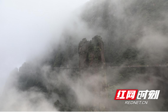 宜章莽山:云雾缭绕 美如画卷128.png