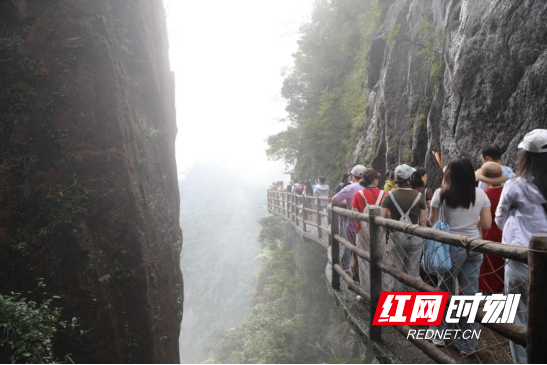 宜章莽山:云雾缭绕 美如画卷123.png