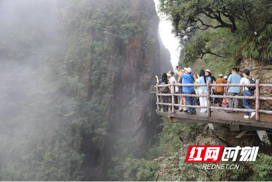 宜章莽山:云雾缭绕 美如画卷122.png
