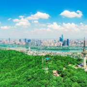 让历史和城市彼此滋养(记者手记)