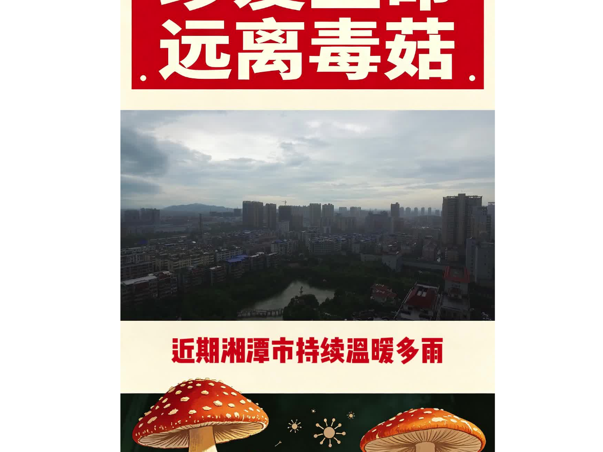湘潭疾控提醒：不采摘 不买卖 不食用野生蘑菇