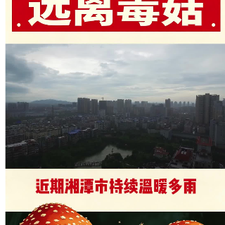 湘潭疾控提醒：不采摘 不买卖 不食用野生蘑菇