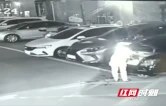 大祥区两男子拉车门盗窃，双双被刑拘