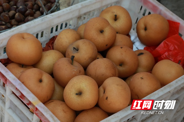 045A1413_副本.jpg