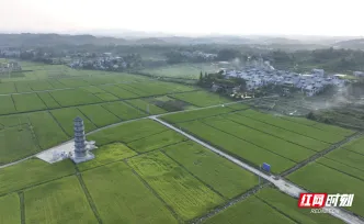组图 | 乡村沃土 秀美田园
