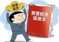 借他山之石 助《民营经济促进法》在湘落地见效
