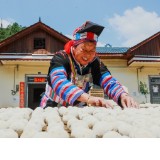 湖南新田:瑶乡草药酒曲助农增收(组图)