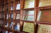 湘商聚衡·衡商担当｜沪上15载，这团“衡阳星火”为何越烧越旺