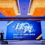 侨商“搭桥”!这场国家级交流活动在新区举办