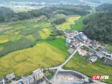 汝城县濠头乡：雨后田间“把脉问诊”农技下沉一线守护粮食稳产增收