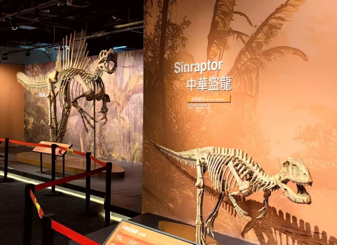 恐龙展2.jpg