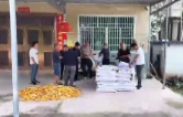 大通湖区南京湖村：农资上门送服务 方寸闲地拓增收