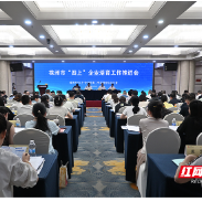 优服务、育主体!株洲抓实“四上”企业培育赋能高质量发展