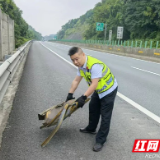 超车道惊现“拦路利刃”!永州高速人迅速除险情