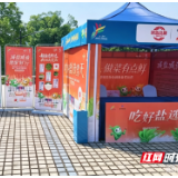 一粒好盐映省运 体育之光照见民生底色
