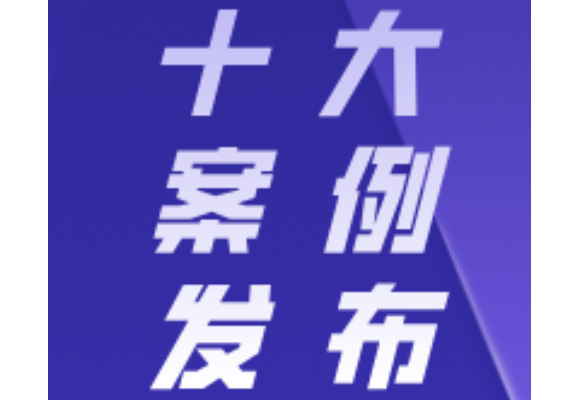全链条打击！2025-2026年中国知识产权行政执法十大案例发布