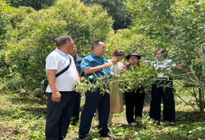 红观五溪丨让党群服务中心成为老百姓的“客厅”——芷江罗旧镇党建引领基层服务纪实