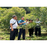 红观五溪丨让党群服务中心成为老百姓的“客厅”——芷江罗旧镇党建引领基层服务纪实