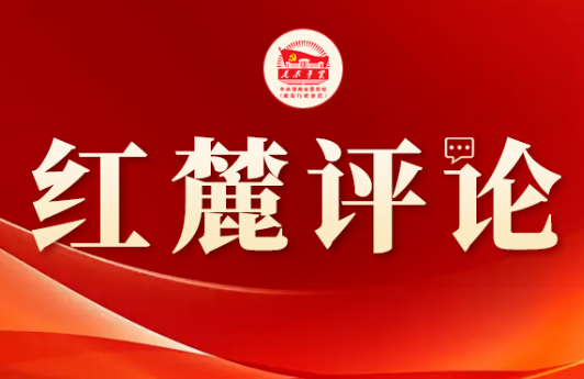 红麓评论:激活县域动能 夯实发展根基