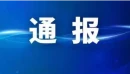 中共宜章县第十一中学支部委员会关于巡察整改进展情况的通报