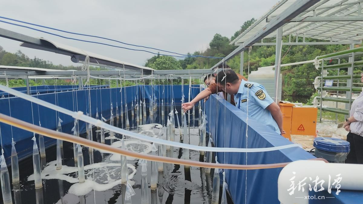 省第一生态环境保护督察组现场核查湘乡市养殖企业污染问题。2.png