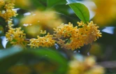 组图｜衡阳：平湖秋韵满庭芳