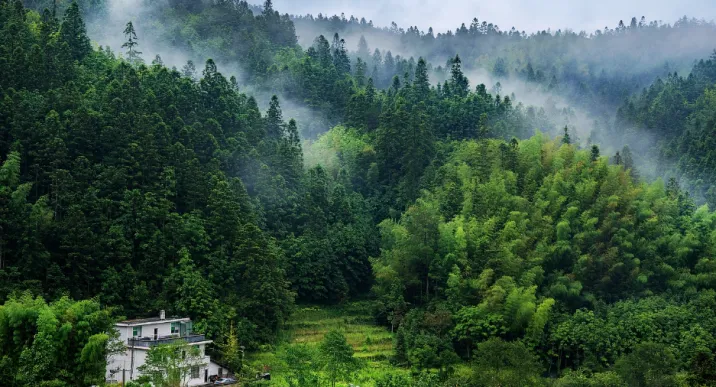 秋日桂东：云来山不语，人在画中行
