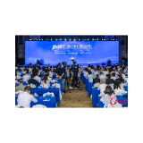 长沙知识产权保护实践，亮相国际交流大会