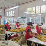 一片金叶的重量——永定区沅古坪烟站开秤收购
