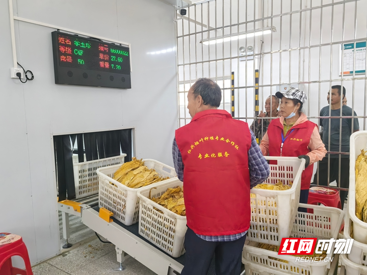 微信图片_20260912102909_2436_36.jpg