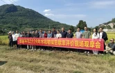 把培训搬到田埂上——全市农药科学安全用药暨植保贡献率评价现场观摩会走进合作桥乡