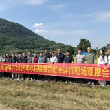 把培训搬到田埂上——全市农药科学安全用药暨植保贡献率评价现场观摩会走进合作桥乡