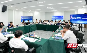 城市级Token工厂怎么建？长沙这场沙龙刮起了“头脑风暴”