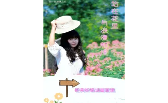 海报丨邀您赴一场秋日花约！怀化鹤城3万㎡醉蝶花海迎来盛花期