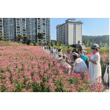 怀化，家门口的生态美