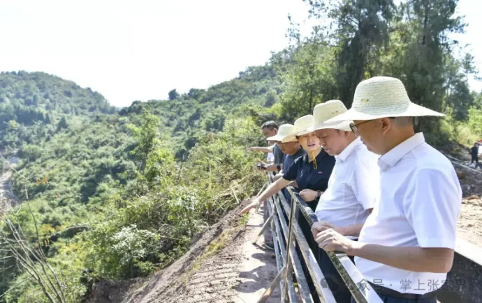 贺辉调研桑植县经济社会发展情况