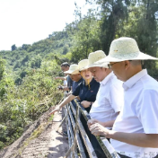 贺辉调研桑植县经济社会发展情况
